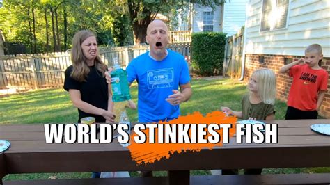 the stinkiest fish in the world|SURSTRÖMMING STINKY FISH CHALLENGE